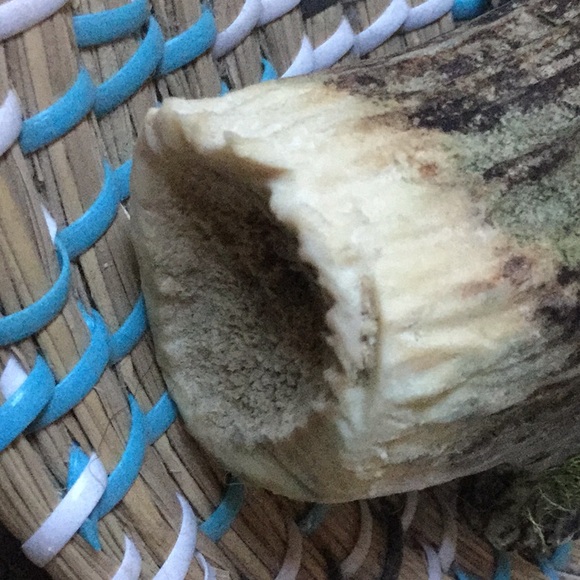 Mother Nature elk antler piece art decor primitive rustic garden craft - Picture 4 of 5